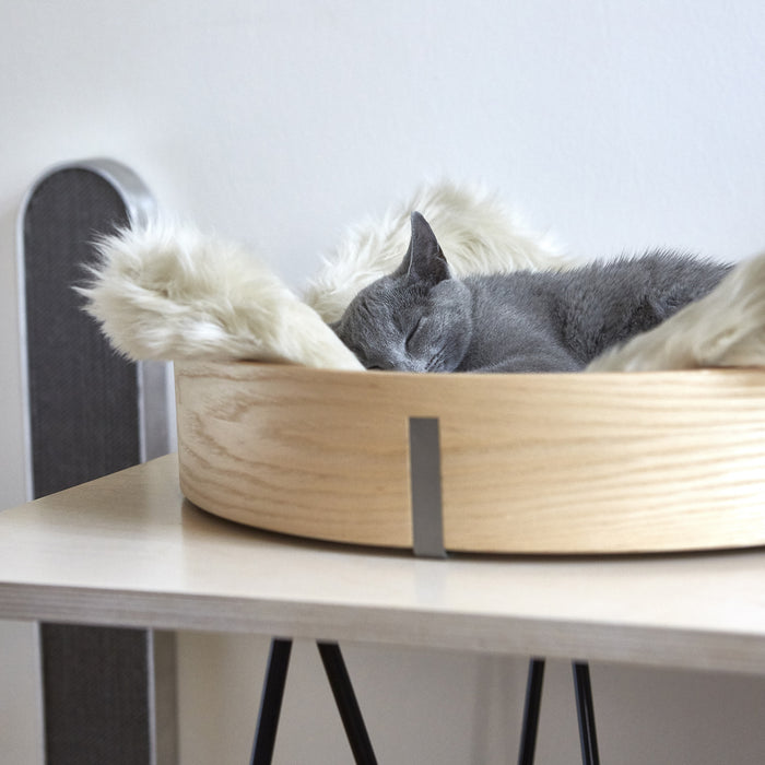 200114-x1.jpg (1366244)