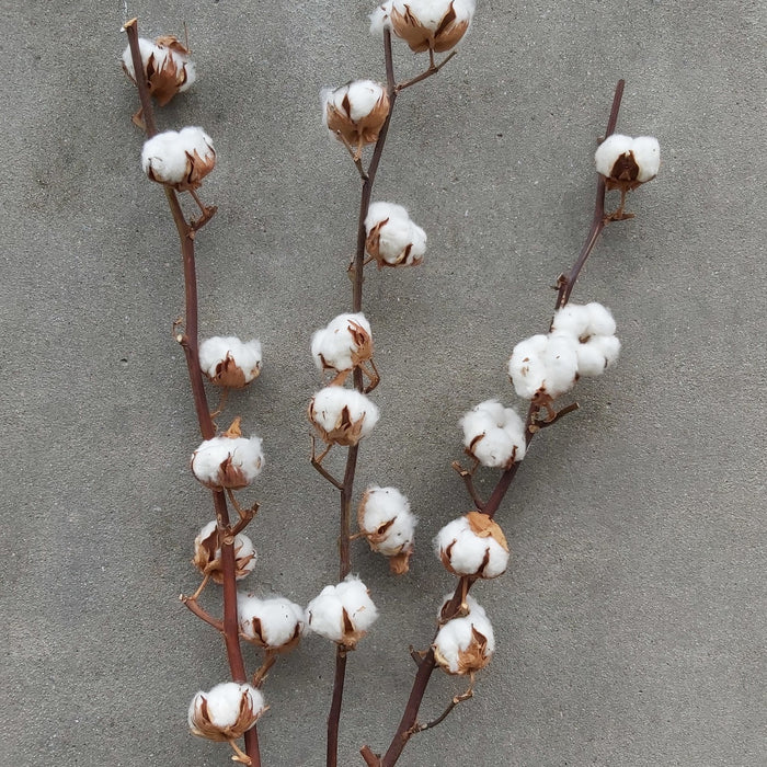 8cb8be6b-6541-4dce-a42f-8d822b4275b4-afbeelding5.jpg (1374285)