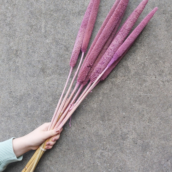 3727cd0d-0eb3-4f4f-9242-ba7d5c1e1c91-afbeelding3.jpg (1395233)