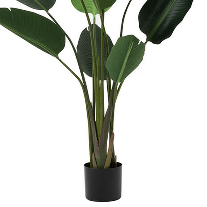 904305f8-35f2-45cd-9292-6ae51d1455ad-afbeelding3.jpg (1397307)