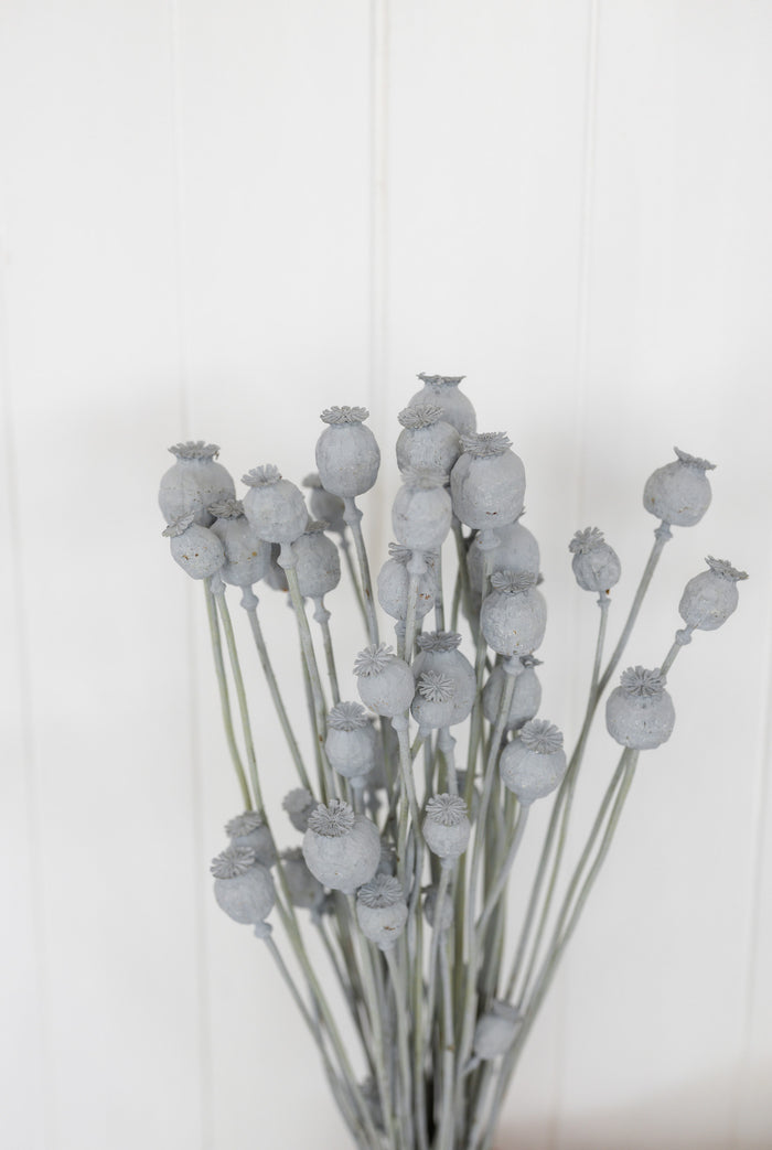 1c885ac9-90f6-4b04-85df-17f71c5e4ad2-afbeelding5.jpg (1400801)