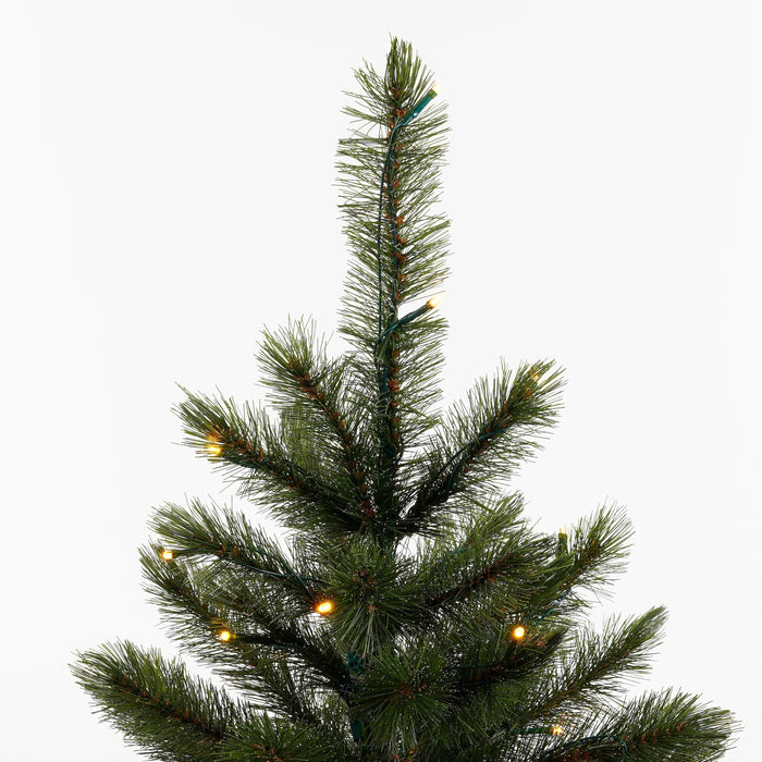 Triumph Tree Bristlecone Kunstkerstboom met Verlichting - H215