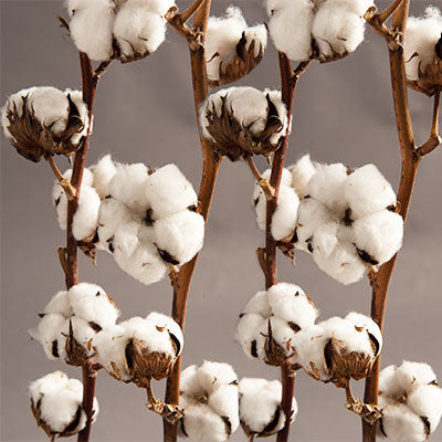 16a2de06-fbeb-471d-960b-7dff22ee5ee6-sfeerbeeld.jpg (1406864)