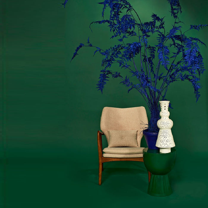 212940-x6.jpg (1418765)