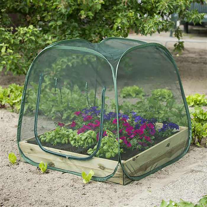 Nature Vierkante Meter Pop-up Kas