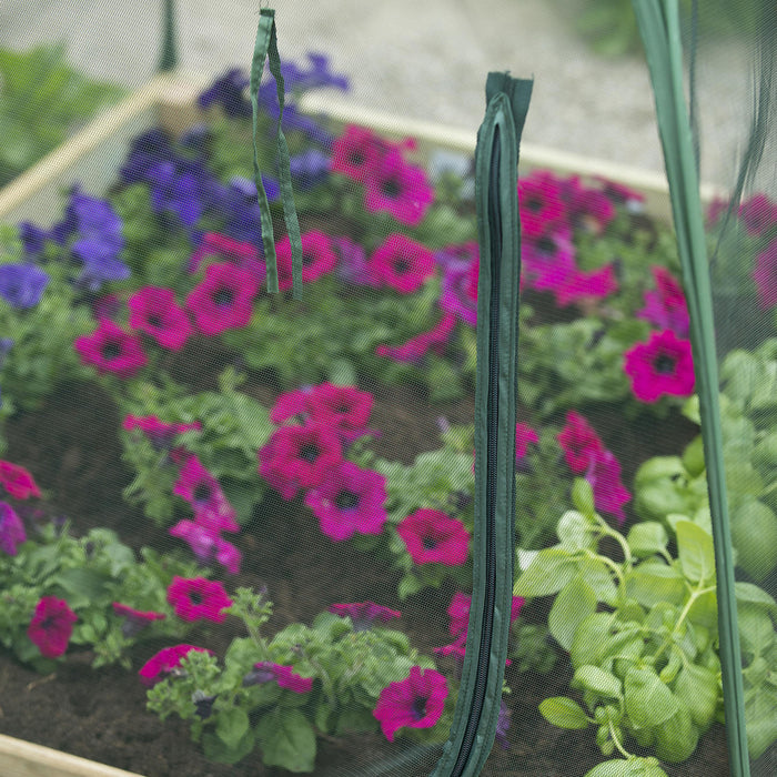 Nature Vierkante Meter Pop-up Kas