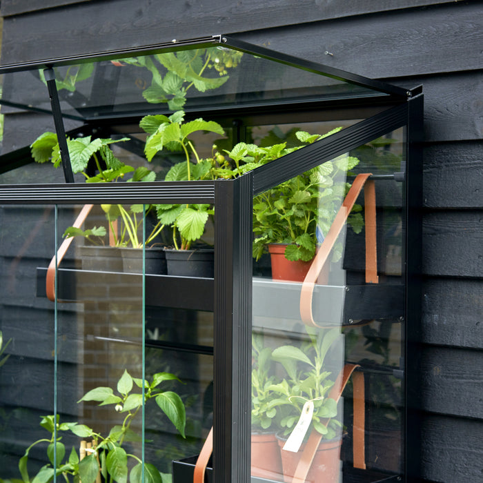 Royal Well City Garden Patiokas