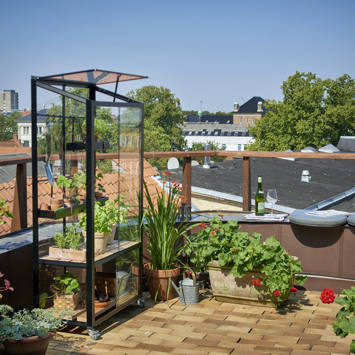 Royal Well City Garden Patiokas