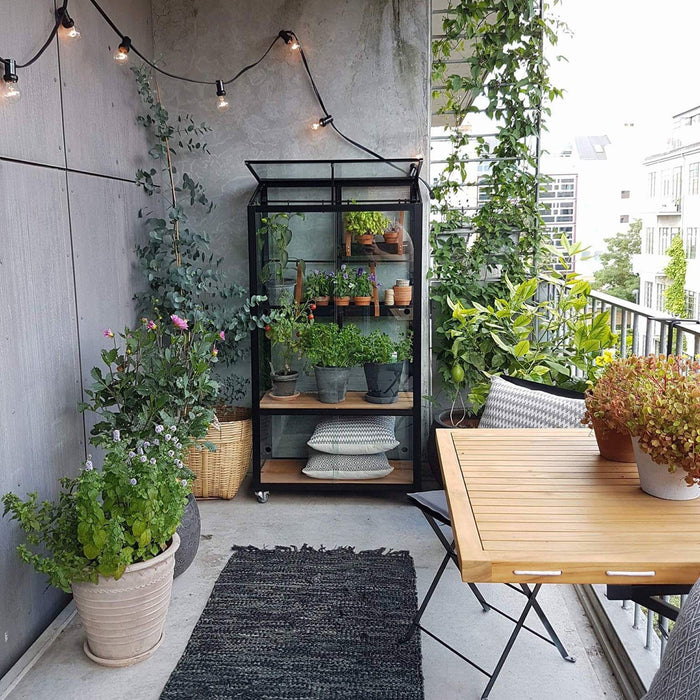 Royal Well City Garden Patiokas