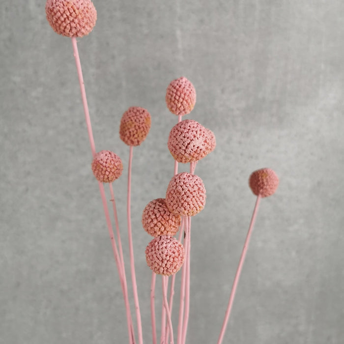 884be34b-636c-4dfa-9c0d-172352c83d13-afbeelding3.jpg (1448058)