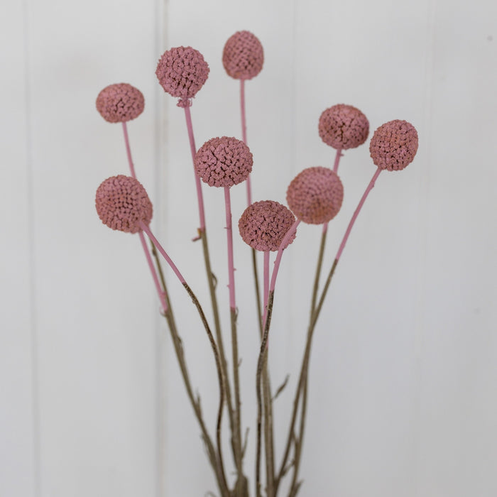 884be34b-636c-4dfa-9c0d-172352c83d13-afbeelding4.jpg (1448059)