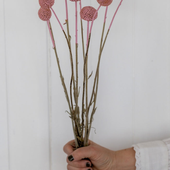 884be34b-636c-4dfa-9c0d-172352c83d13-afbeelding5.jpg (1448060)