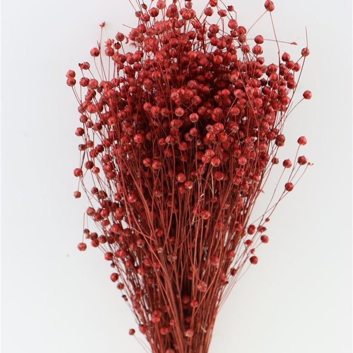 c831ee3e-8fe5-4d6e-af7d-670664961b68-afbeelding3.jpg (1454989)