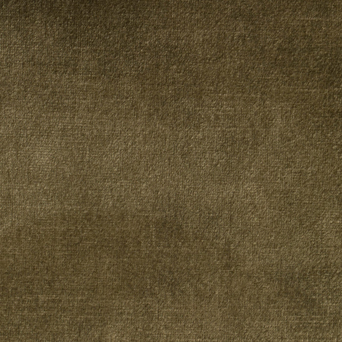 296159-x10.jpg (1465434)