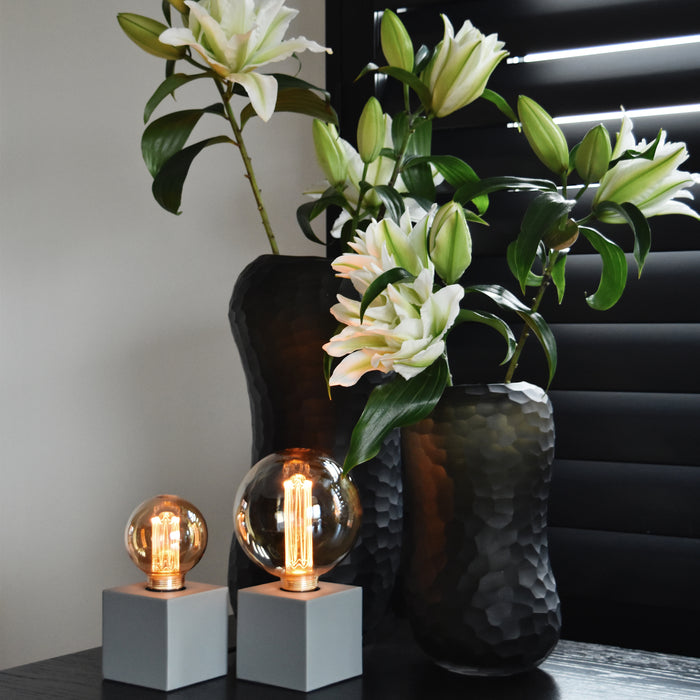 304165-x1.jpg (1477813)