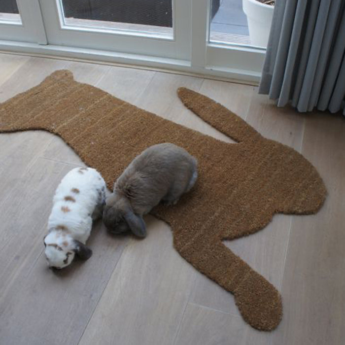DROOG Design - Hare mat - Haas Mat - Deurmat - Bruin