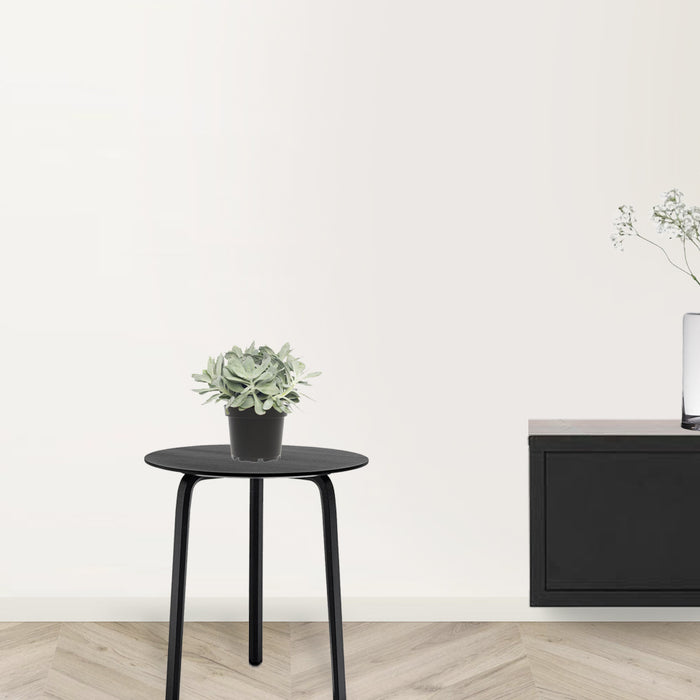 Fleurdirect Mountain Fire Kruiskruid Light