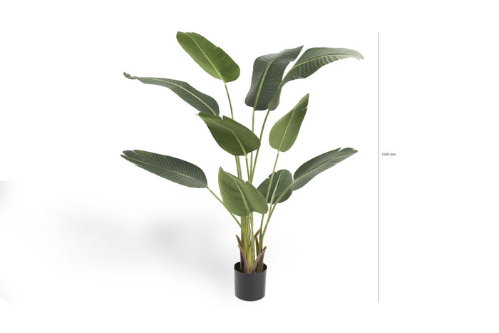 256328ad-4c59-468c-8f51-af401f6a2fcd-afbeelding6.jpg (1488551)