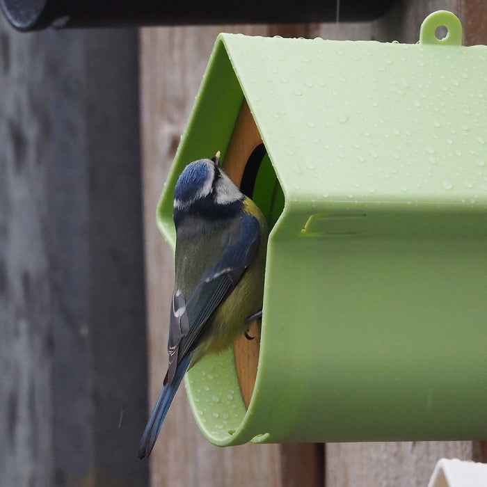 SingingFriend Evie Pindakaashuisje