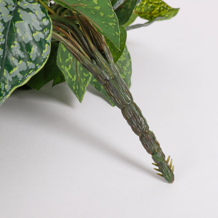 d49a25cd-65ee-4335-b64d-4eac40245bee-afbeelding4.jpg (1515310)