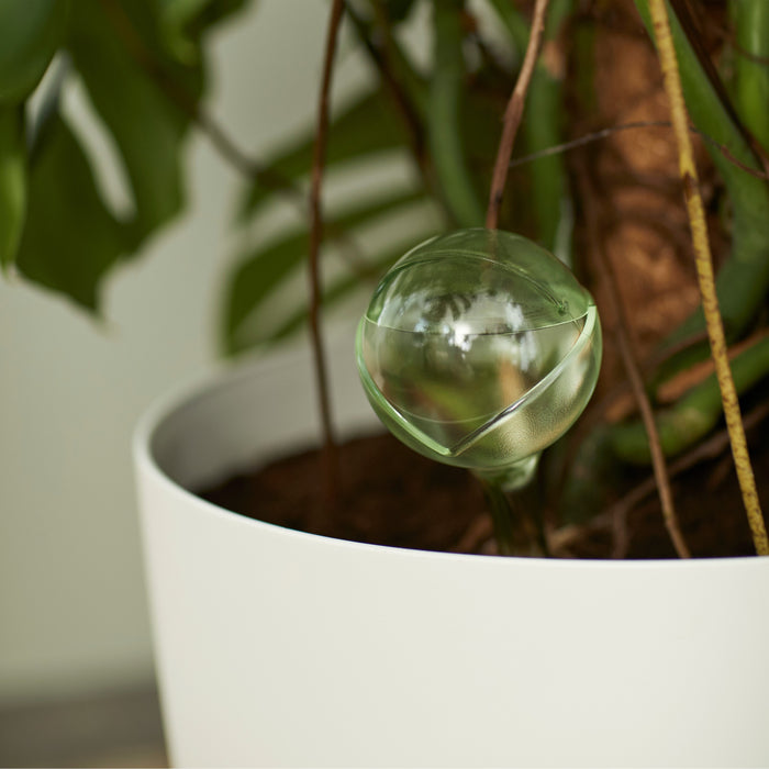 elho Aqua Care Waterdispenser