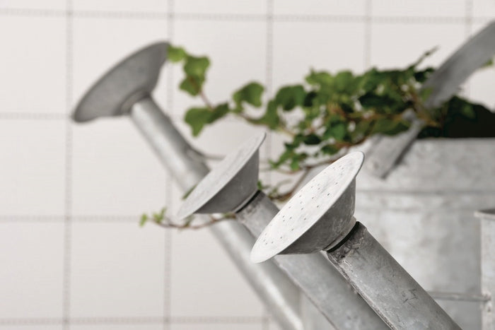 Esschert Design Gieter Zink - 8,7 Liter