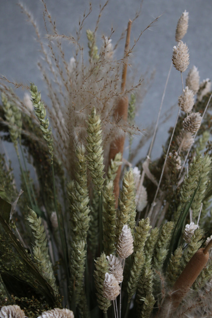 b784ffed-d869-45ec-a5e6-fa76a357b26e-afbeelding6.jpg (1533016)