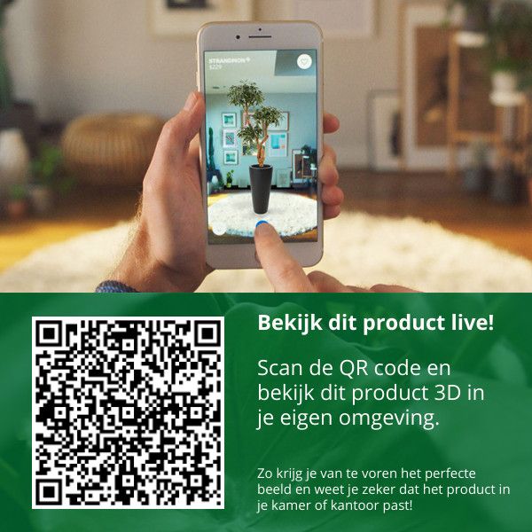 c4a2aaa0-3545-4fb4-ba7c-53dce7cfd50b-afbeelding10.jpg (1538041)