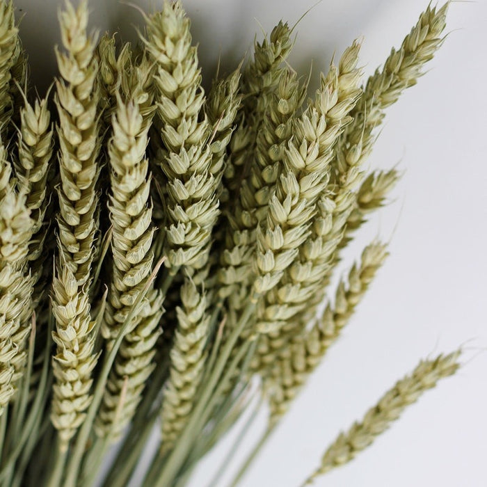 84deb84e-f622-4dcb-8b18-45a62ef0790d-afbeelding5.jpg (1541464)