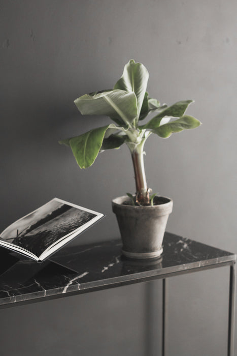 Aime Té Marmeren Sidetable - Nero Marquina Zwart