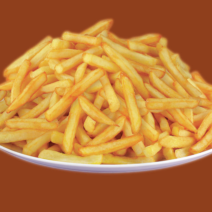 Tefal FR4800 Mega Friteuse