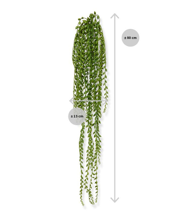 8af8a52f-5d76-4093-9830-3c0da095099f-sfeerbeeld.jpg (1557077)