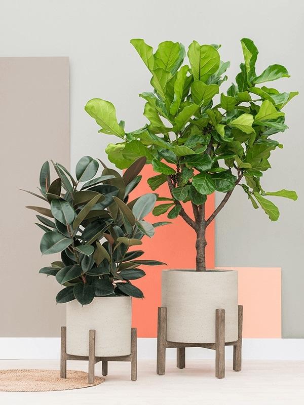 Pottery Pots Max S beige washed 44 cm cilinder bloempot op poten