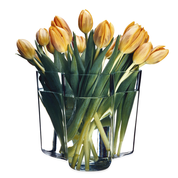 Iittala Alvar Aalto Vazen