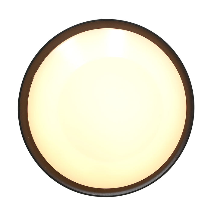 Steinhauer Fuga Wandlamp Zwart