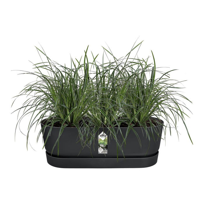 312212-x01.jpg (1570355)