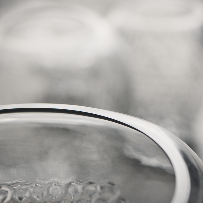 Bolia Bramble Vaas L - Clear