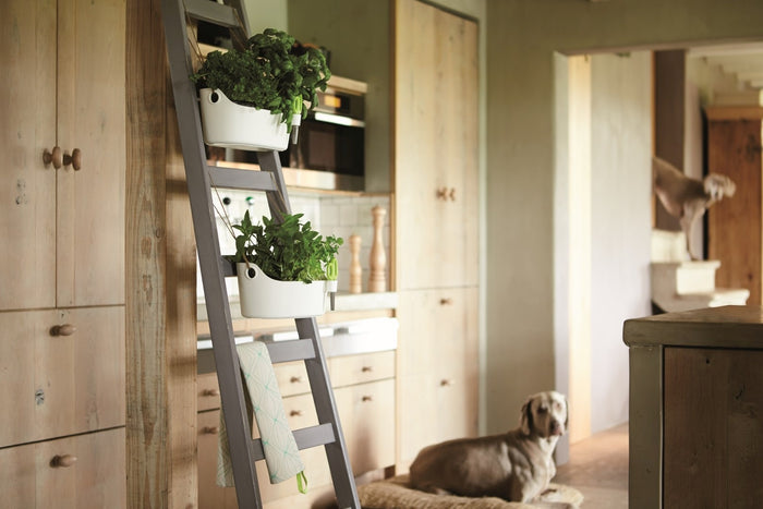 Elho Brussels Herbs Station Kruidenpot