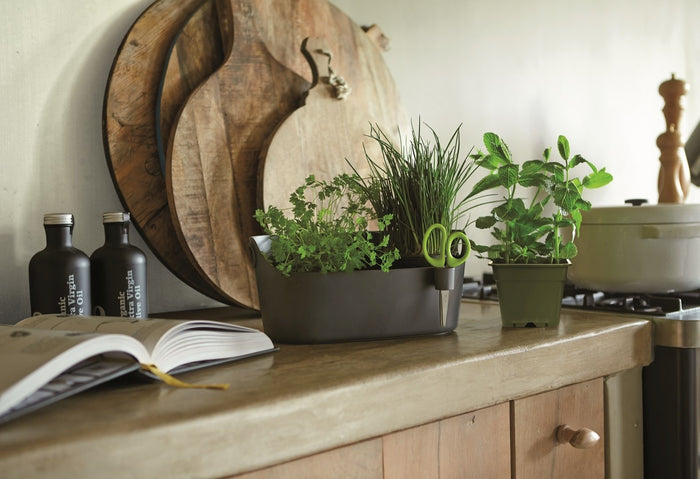 Elho Brussels Herbs Station Kruidenpot