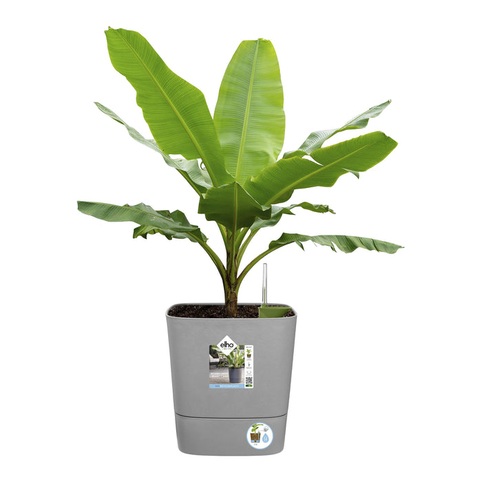 Elho Greensense Aqua Care - Vierkant - Ø 29,5 cm