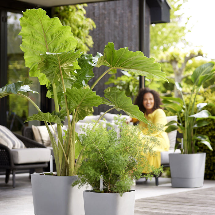 Elho Greensense Aqua Care - Vierkant - Ø 29,5 cm