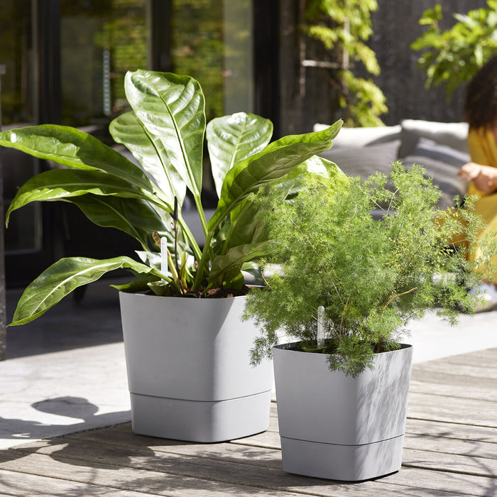 Elho Greensense Aqua Care - Vierkant - Ø 29,5 cm