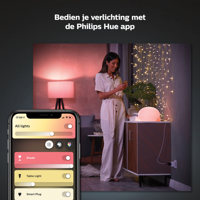 Philips Hue Stekker