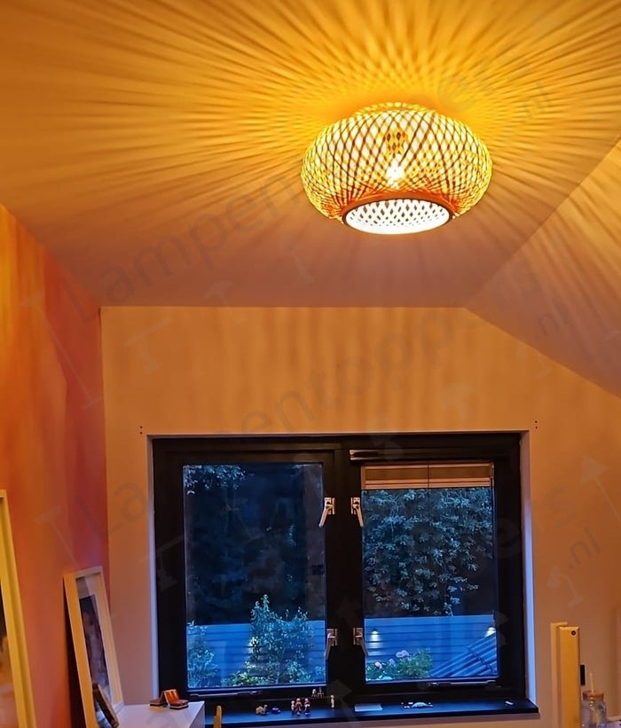 610e0fce-104b-4711-85ce-9b23fac930a4-afbeelding3.jpg (1600159)