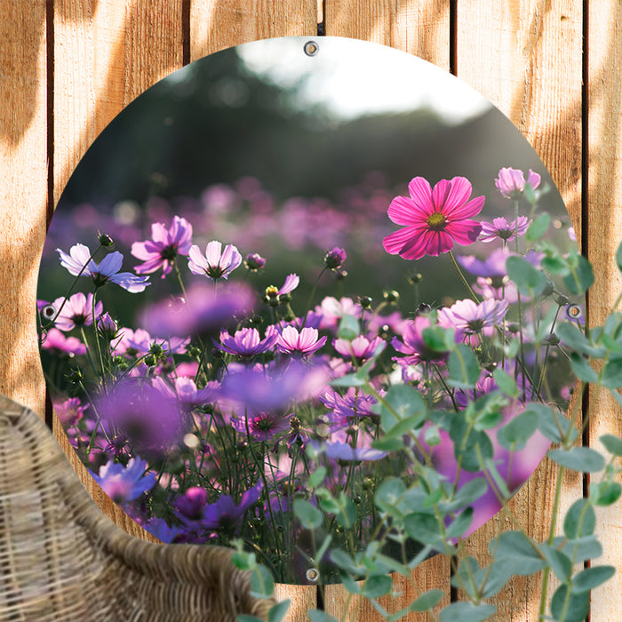 Sweet Living - Ronde Tuinposter Cosmea Bloemen- B100 x L100 cm