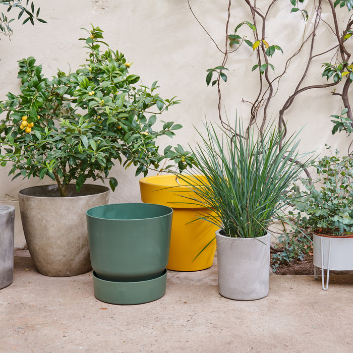 House Doctor Ave Bloempot