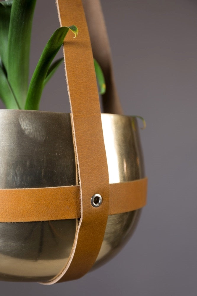 191235-3.jpg (1617926)