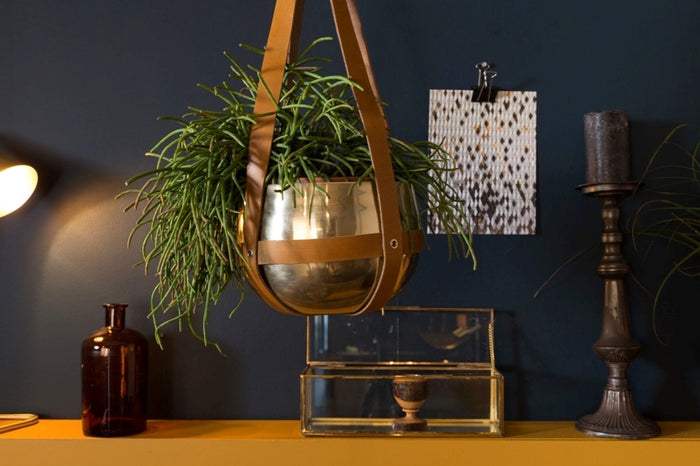 191235-5.jpg (1617928)