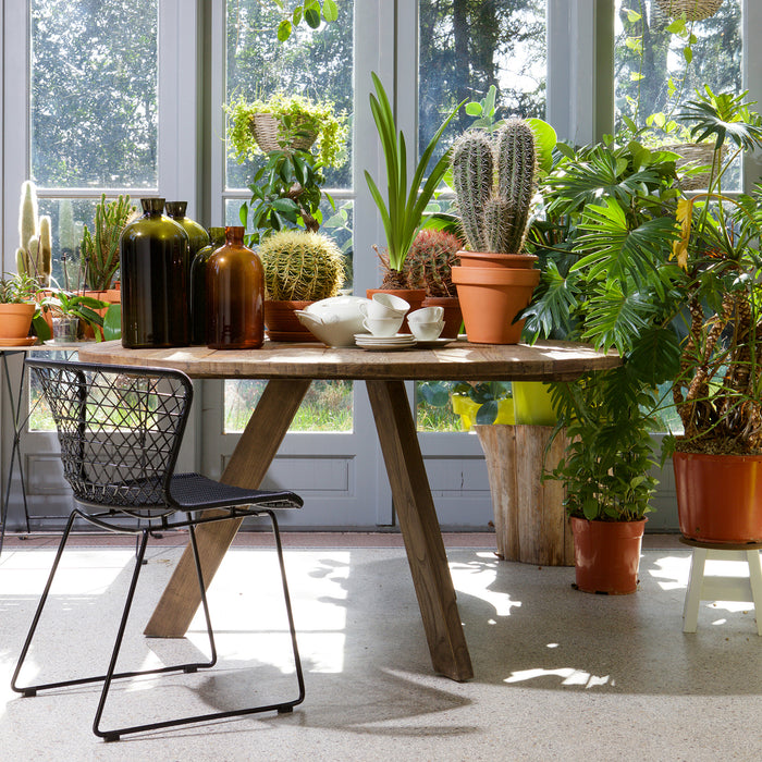 195244-x2.jpg (1637564)