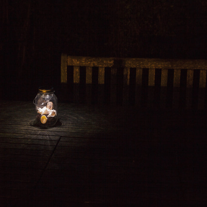 Esschert LED Lamp Zonnepaneel